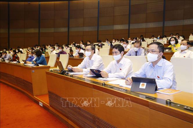 Đoàn đại biểu Quốc hội tỉnh Sơn La dự phiên họp. Ảnh: Doãn Tấn - TTXVN