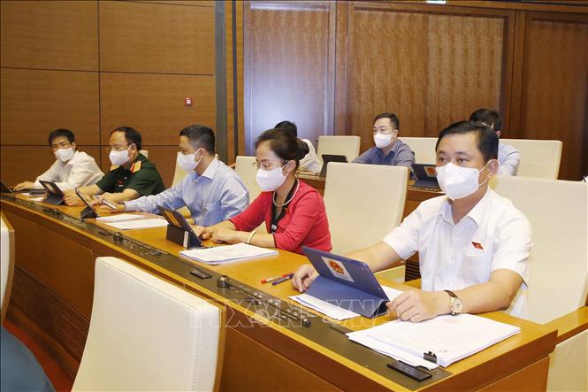 Đoàn đại biểu Quốc hội tỉnh Nghệ An dự phiên họp. Ảnh: Doãn Tấn - TTXVN
