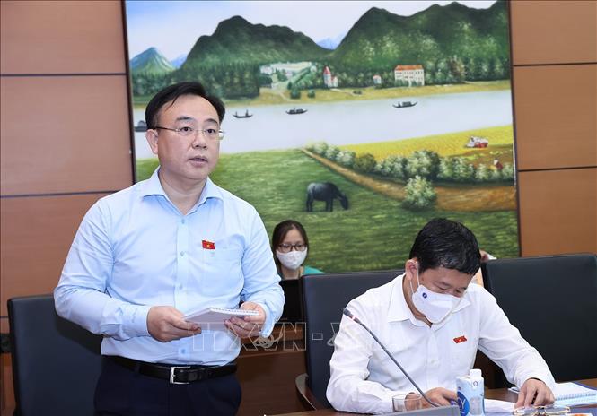 Trong ảnh: Đại biểu Quốc hội tỉnh Đồng Nai Nguyễn Công Long thảo luận. Ảnh: Dương Giang-TTXVN