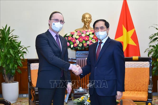 Bộ trưởng Ngoại giao Bùi Thanh Sơn tiếp Đại sứ Liên bang Nga tại Việt Nam Gennady Bezdetko đến chào xã giao. Ảnh: TTXVN