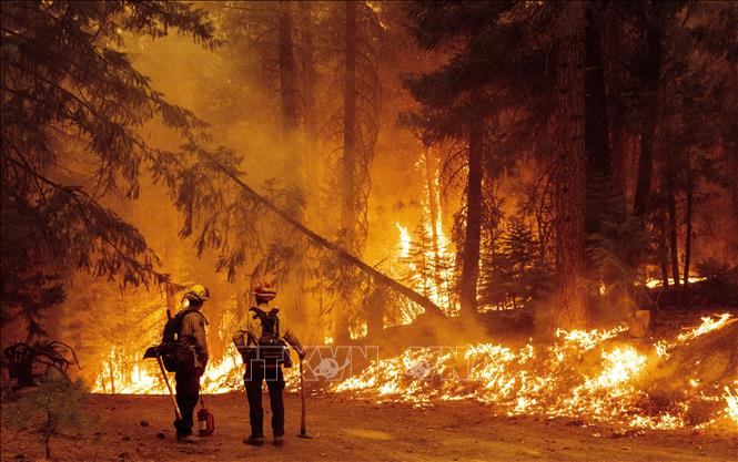 Cháy rừng lan rộng tại California (Mỹ) - Ảnh thời sự quốc tế - Văn hóa xã hội - Thông tấn xã Việt Nam (TTXVN)