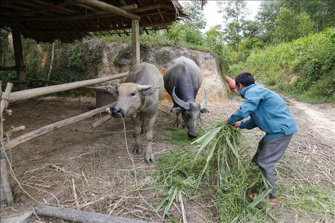 Trong ảnh: Các hộ nghèo, cận nghèo sẽ được hỗ trợ 100% lãi suất tiền vay. Ảnh: Nam Sương - TTXVN