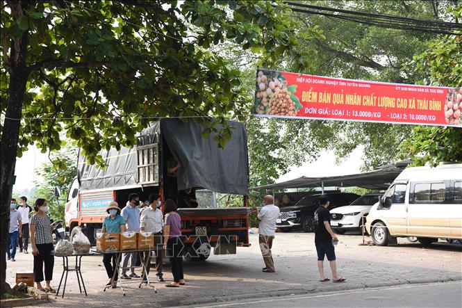 Trong ảnh: Điểm bán nhãn hỗ trợ nông dân xã Thái Bình tại khu vực trước Siêu thị Tuyên Quang, đường Chiến thắng sông Lô (thành phố Tuyên Quang). Ảnh: Nam Sương - TTXVN