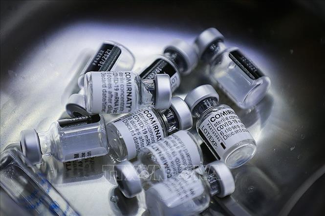 Trong ảnh: Vaccine phòng COVID-19 của Pfizer/BioNTech. Ảnh: Trọng Đạt - TTXVN 