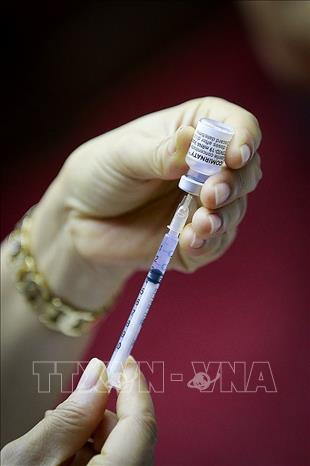 Trong ảnh: Vaccine phòng COVID-19 của Pfizer/BioNTech. Ảnh: Trọng Đạt - TTXVN 