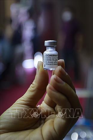 Trong ảnh: Vaccine phòng COVID-19 của Pfizer/BioNTech. Ảnh: Trọng Đạt - TTXVN 