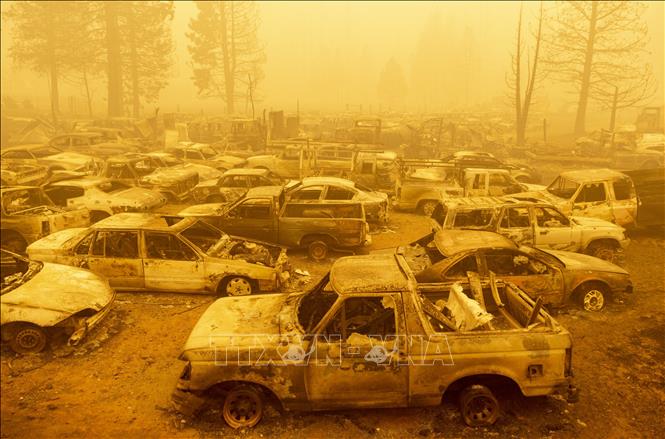 Trong ảnh: Xe ô tô bị phá hủy trong đám cháy rừng tại Greenville, California, Mỹ, ngày 6/8/2021. Ảnh: AFP/ TTXVN