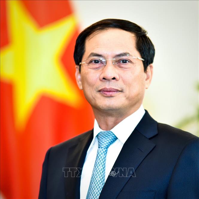 Photo: Vietnamese Minister of Foreign Affairs Bui Thanh Son. VNA Photo