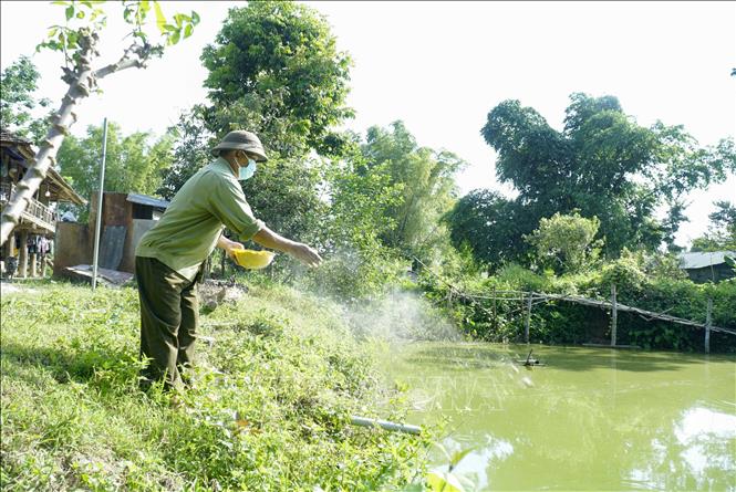 Trong ảnh: Nhiều hộ dân sử dụng nguồn vốn vay chính sách để phát triển mô hình vườn - ao - chuồng mang hiệu quả kinh tế cao. Ảnh: Xuân Tư – TTXVN