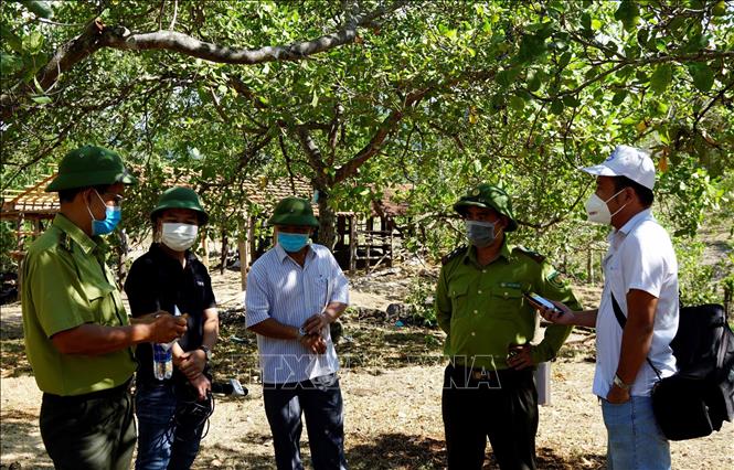 Hạt kiểm lâm huyện Vĩnh Thạnh và chính quyền xã Vĩnh Thuận đang xem xét thu hồi diện tích nằm trong quy hoạch chức năng rừng phòng hộ để trồng rừng theo quy định. Ảnh: Tường Quân - TTXVN