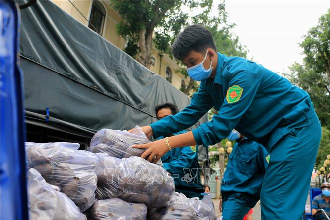Trong ảnh: Hội Chữ thập đỏ thành phố Vĩnh Long chung tay tiêu thụ khoai lang tím Nhật của nông dân huyện Bình Tân. Ảnh: Phạm Minh Tuấn-TTXVN