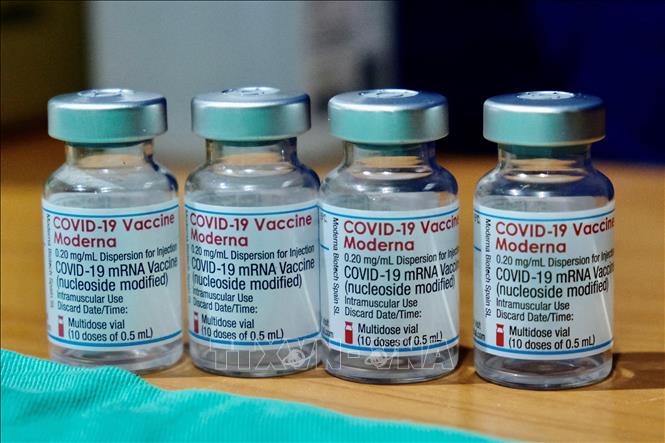  Trong ảnh: Vaccine ngừa COVID-19 của Hãng Moderna tại Ginowan, Nhật Bản ngày 28/4/2021. Ảnh: Getty Images/TTXVN