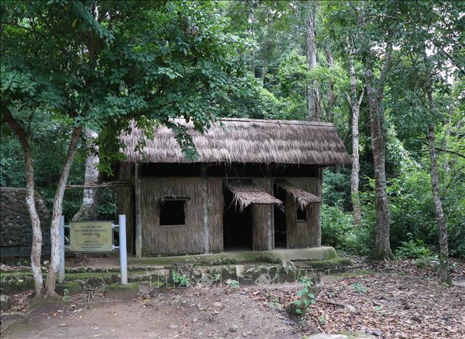 Trong ảnh: Những cây to có độ tuổi hàng chục năm ở vị trí xung quanh các hạng mục công trình trong khu di tích. Khi xảy ra mưa to, gió lớn, có nguy cơ gãy đổ, ảnh hưởng đến công trình. Ảnh: Xuân Tiến - TTXVN 