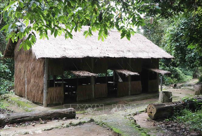 Trong ảnh: Những khúc gỗ được cắt từ một thân cây to, khô mục bị gãy đổ trước đó do dông lốc xảy ra. Cây gãy, đổ này đã khiến công trình “Lán hội trường nơi diễn ra các hội nghị cán bộ do Đảng ủy và Bọ chỉ huy triệu tập” bị hỏng nặng, phải tu sửa lại. Ảnh: Xuân Tiến - TTXVN 