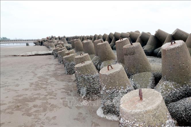 Trong ảnh: Mỏ kè chữ T có tác dụng gây bồi, nâng bãi, giảm chiều cao và năng lượng sóng biển, bảo vệ an toàn tuyến đê biển huyện Hải Hậu, tỉnh Nam Định. Ảnh: Nguyễn Lành - TTXVN                                                                                                                                                                                                                                                                                                                                                                                                                                                                                          