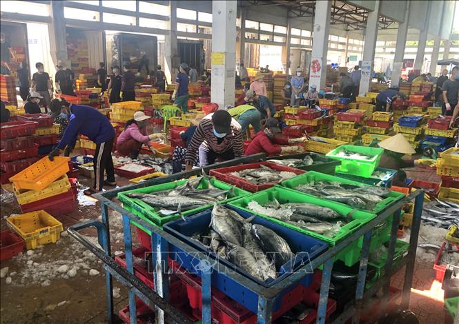 Trong ảnh: Chợ cảng cá Quy Nhơn vừa phát hiện tiểu thương mắc COVID-19. Ảnh: Nguyên Linh-TTXVN