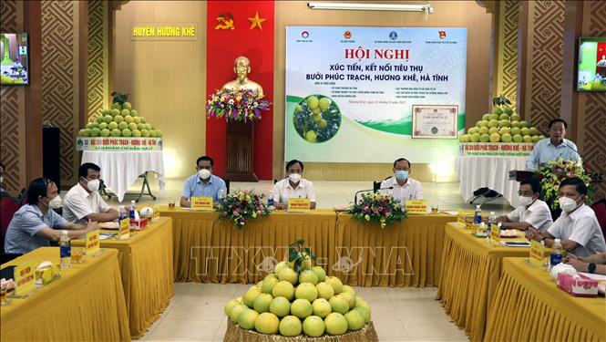 Trong ảnh: Quang cảnh Hội nghị. Ảnh: Công Tường - TTXVN