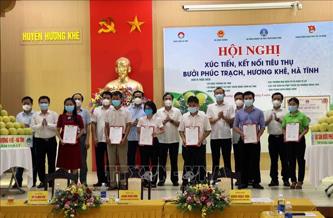 Trong ảnh: Lãnh đạo Hà Tĩnh trao giấy cam kết tiêu thụ bưởi Phúc Trạch các doanh nghiệp, hợp tác xã. Ảnh: Công Tường - TTXVN