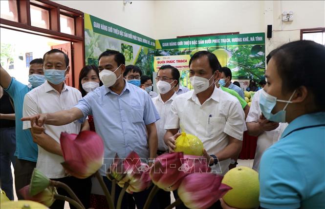 Trong ảnh: Lãnh đạo Hà Tĩnh tham quan gian hàng bưởi Phúc Trạch. Ảnh: Công Tường - TTXVN