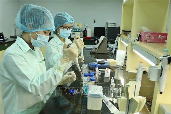 Lĩnh vực y tế của Việt Nam phát triển mạnh mẽ, đạt nhiều thành tựu. Trong ảnh: Nhân viên Công ty TNHH Một thành viên Vaccine và Sinh phẩm số 1 (VABIOTECH) thử nghiệm định lượng Protein trong vaccine ngừa COVID-19. Ảnh: Minh Quyết - TTXVN