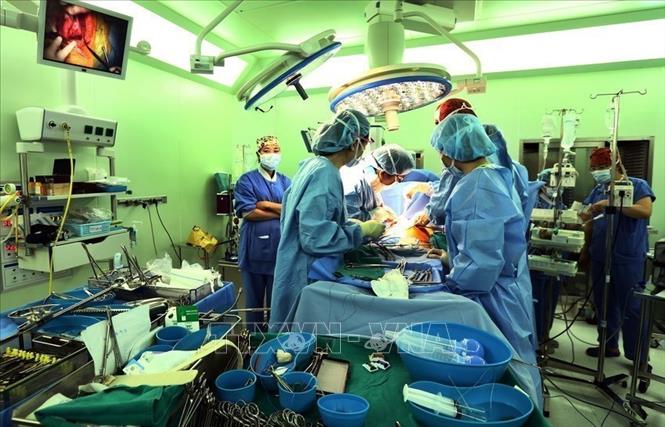 Lĩnh vực y tế phát triển mạnh mẽ, đạt nhiều thành tựu. Trong ảnh: Ca ghép gan cho bệnh nhân tại Bệnh viện Đa khoa Quốc tế Vinmec Times City tại Hà Nội. Ảnh: Dương Ngọc – TTXVN