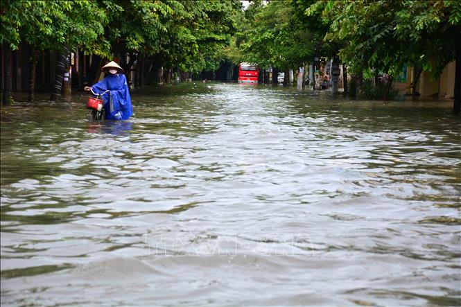 Trong ảnh: Mưa lớn khiến phố Máy Tơ, thành phố Nam Định bị ngập sâu trong nước, các phương tiện di chuyển khó khăn. Ảnh: Công Luật - TTXVN