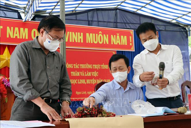Trong ảnh: Lãnh đạo tỉnh Kon Tum kiểm tra hạt giống giả sâm Ngọc Linh Kon Tum được người dân mua tại huyện Tu Mơ Rông. Ảnh: Cao Nguyên-TTXVN
