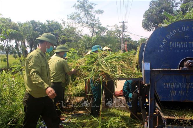 Thu hoạch lúa giúp nông huyện miền núi Như Thanh. Ảnh: Nguyễn Nam-TTXVN