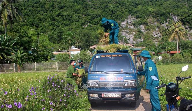 Lực lượng công an, dân quân giúp nông dân huyện miền núi Như Thanh thu hoạch, vận chuyển lúa. Ảnh: Nguyễn Nam-TTXVN