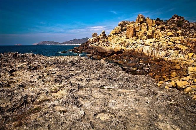 Photo: An ancient coral rock terrace dating back to two million years in the Nui Chua Nature Reserve. VNA Photo