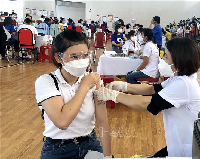 Trong ảnh: Cán bộ, giáo viên ngành giáo dục thành phố Quy Nhơn tiêm vaccine ngừa COVID-19. Ảnh: Nguyên Linh-TTXVN