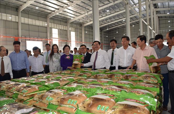 Trong ảnh: Dây chuyền sản xuất gạo hiện đại, đồng bộ và tự động hóa tại Trung tâm công nghiệp chế biến hạt giống và nông sản (Đồng Tháp) sử dụng 100% công nghệ Nhật Bản. Ảnh: Chương Đài - TTXVN