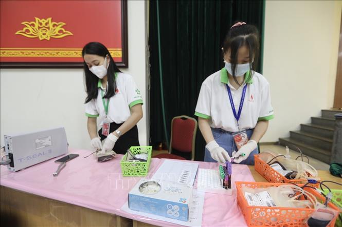 Trong ảnh: Tình nguyện viên tập hợp các đơn vị máu trong chương trình hiến máu “Trung thu cho em”. Ảnh: Minh Quyết - TTXVN