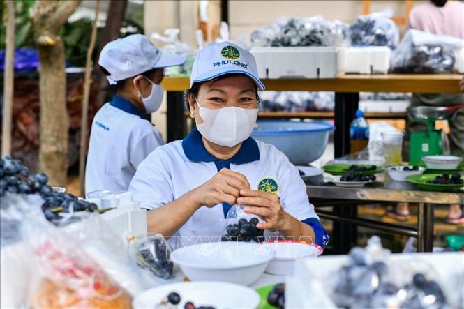 Trong ảnh: Các tình nguyện viên của Bếp ăn từ thiện Phú Long (huyện Nhà Bè) chuẩn bị các xuất ăn phát cho người dân khó khăn. Ảnh: Hồng Giang - TTXVN