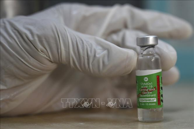 Trong ảnh: Vaccine ngừa COVID-19 tại Faridabad, Ấn Độ, ngày 4/3/2021. Ảnh: AFP/ TTXVN