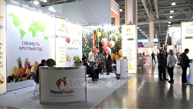 Photo: A stand of Russia's MevaFresh Co., Ltd, an importer of Vietnamese fresh fruit products for serving the demand in the Moscow market. VNA Photo:Duy Trinh 