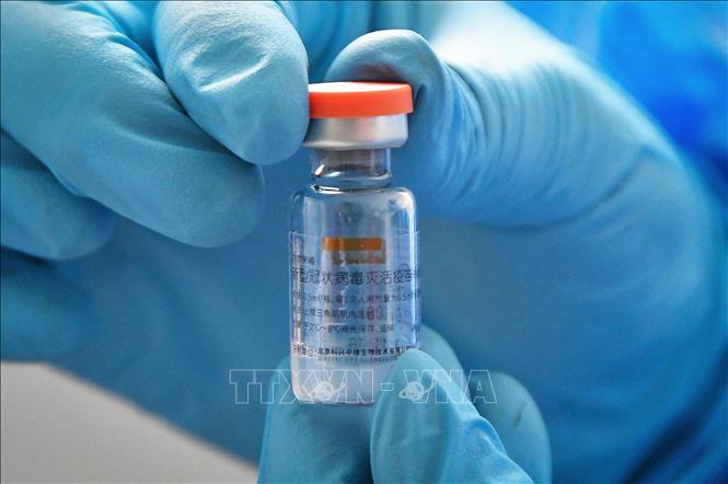 Trong ảnh: Vaccine ngừa COVID-19 của hãng Sinovac. Ảnh: AFP/ TTXVN