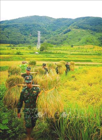 Vẻ đẹp bình dị trong lao động thực hiện nhiệm vụ giúp cộng đồng dân bản của người chiến sĩ biên phòng Điện Biên nơi biên cương cực Tây của Tổ quốc. Ảnh: TTXVN phát  