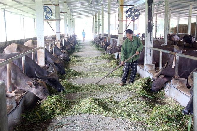 Là xã vùng sâu, vùng xa đặc biệt khó khăn của huyện Yên Sơn, đến nay, xã Kim Quan đã đạt 19/19 tiêu chí về xây dựng nông thôn mới. Những đổi thay này đang từng bước xây dựng cuộc sống mới trên quê hương cách mạng năm xưa. Ảnh: Quang Cường – TTXVN