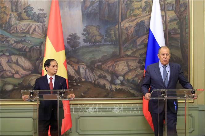 Trong ảnh: Bộ trưởng Ngoại giao Bùi Thanh Sơn và Bộ trưởng Ngoại giao LB Nga Sergei Lavrov đồng chủ trì họp báo chung sau hội đàm. Ảnh: Trần Hiếu - PV TTXVN tại Nga