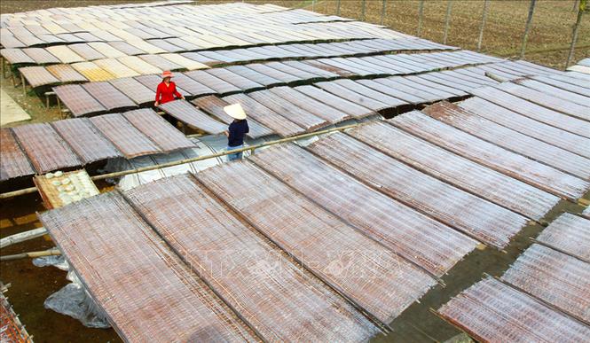 Đặc sản miến đao xã Giới Phiên, thành phố Yên Bái được người dân trong tỉnh cũng như cả nước biết đến. Ngày 13/01/2016, Cục Sở hữu trí tuệ (Bộ Khoa học và Công nghệ) cấp chứng nhận bảo hộ độc quyền nhãn hiệu tập thể mang tên “Miến Đao Giới Phiên”, mở ra cơ hội mới trong việc giữ gìn, phát triển làng nghề truyền thống đã từng gắn bó với người dân địa phương trong hơn 5 thập kỷ qua. Ảnh: Thế Duyệt – TTXVN