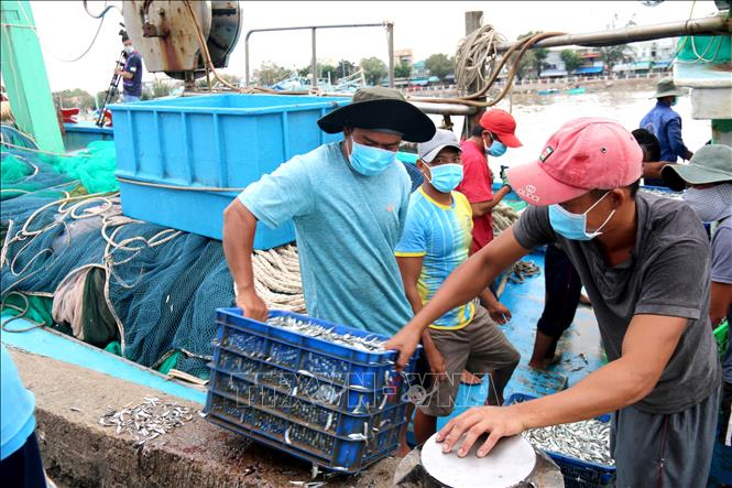 Trong ảnh: Vận chuyển hải sản từ tàu cá lên bờ tại cảng cá Phan Thiết thực hiện nghiêm ngặt các biện  pháp phòng chống dịch COVID-19. Ảnh: Nguyễn Thanh - TTXVN