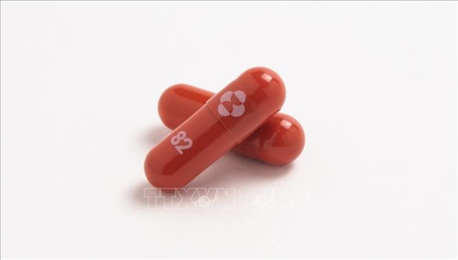 Trong ảnh: Thuốc kháng virus Molnupiravir của hãng dược phẩm Merck & Co (Mỹ). Ảnh: CNBC/TTXVN