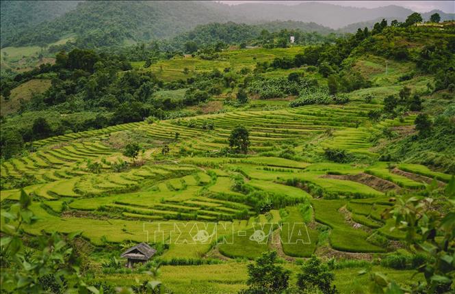 Trong ảnh: Từ trên cung đường thành phố Điện Biên Phủ - Mường Phăng, du khách có thể ngắm nhìn toàn cảnh cánh đồng ruộng bậc thang Tà Lèng. Ảnh: Xuân Tư – TTXVN