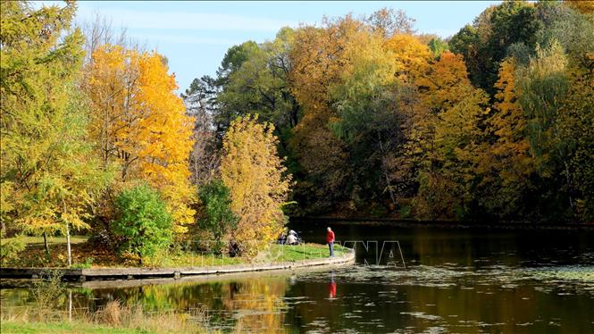 Trong ảnh: Người dân Nga tận hưởng bầu không khí ấm áp và sắc thu vàng bao phủ khắp các công viên. Ảnh: Trần Hiếu - PV TTXVN tại Nga