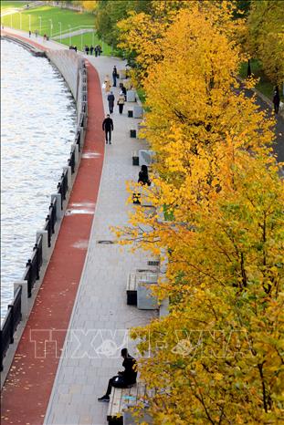 Trong ảnh: Đường bờ sông Moskva trong sắc thu vàng. Ảnh: Trần Hiếu - PV TTXVN tại Nga