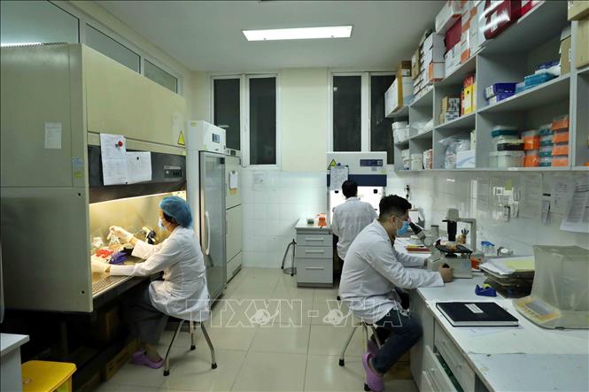 Trong ảnh: GS.TS Lê Thị Quỳnh Mai (bên trái) làm việc tại phòng Thí nghiệm của Viện Vệ sinh dịch tễ Trung ương. Ảnh: Minh Quyết - TTXVN
