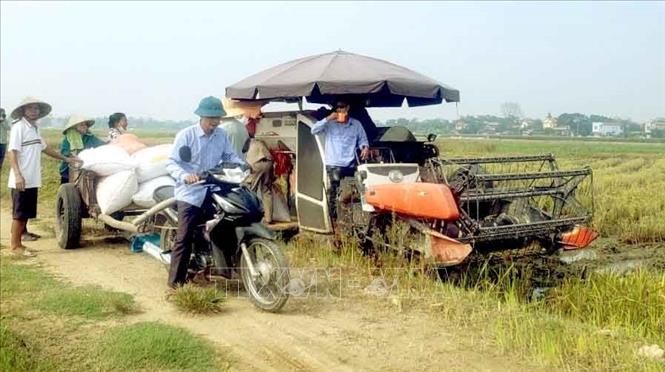 Trong ảnh: Việc đưa cơ giới hóa vào đồng ruộng không chỉ giúp gặt hái nhanh gọn mà còn giải phóng sức lao động, giúp người nông dân đỡ vất vả mỗi khi lúa đến kỳ thu hoạch. Ảnh: Hoàng Hùng - TTXVN