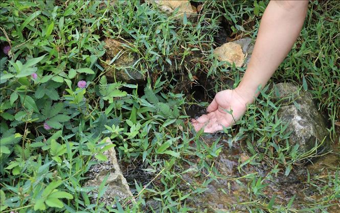 Trong ảnh: Một điểm rò thoát nước tại thân đập hồ Đập Trời. Ảnh: Đức Phương - TTXVN