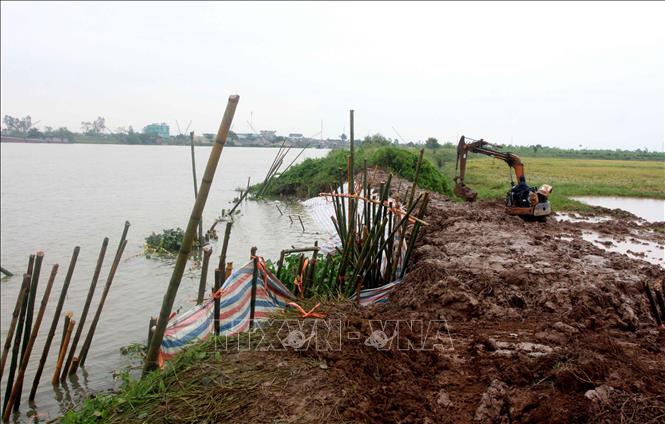 Trong ảnh: Khắc phục sự cố vỡ bờ bao tại xã Trà Giang, huyện Kiến Xương. Ảnh: Thế Duyệt – TTXVN 